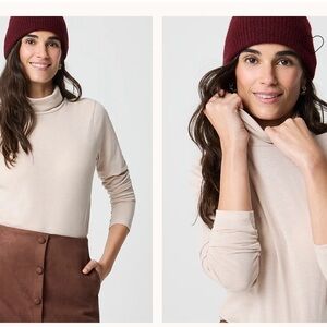 J. Crew Tissue Turtleneck in Heather Oatmeal